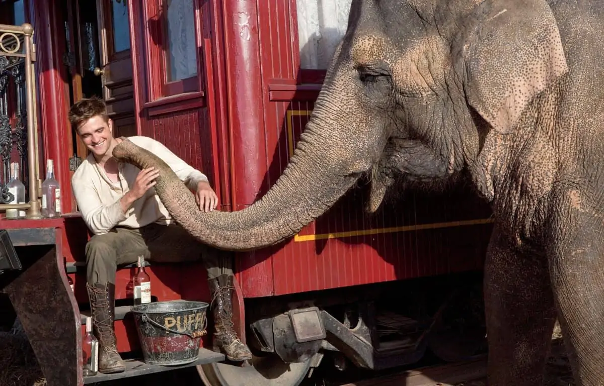 WATER FOR ELEPHANTS

Jacob (Robert Pattinson) gets acquainted with Rosie the elephant.

Photo credit: David James

TM and © 2011 Twentieth Century Fox Film Corporation. ÊAll rights reserved. ÊNot for sale or duplication.