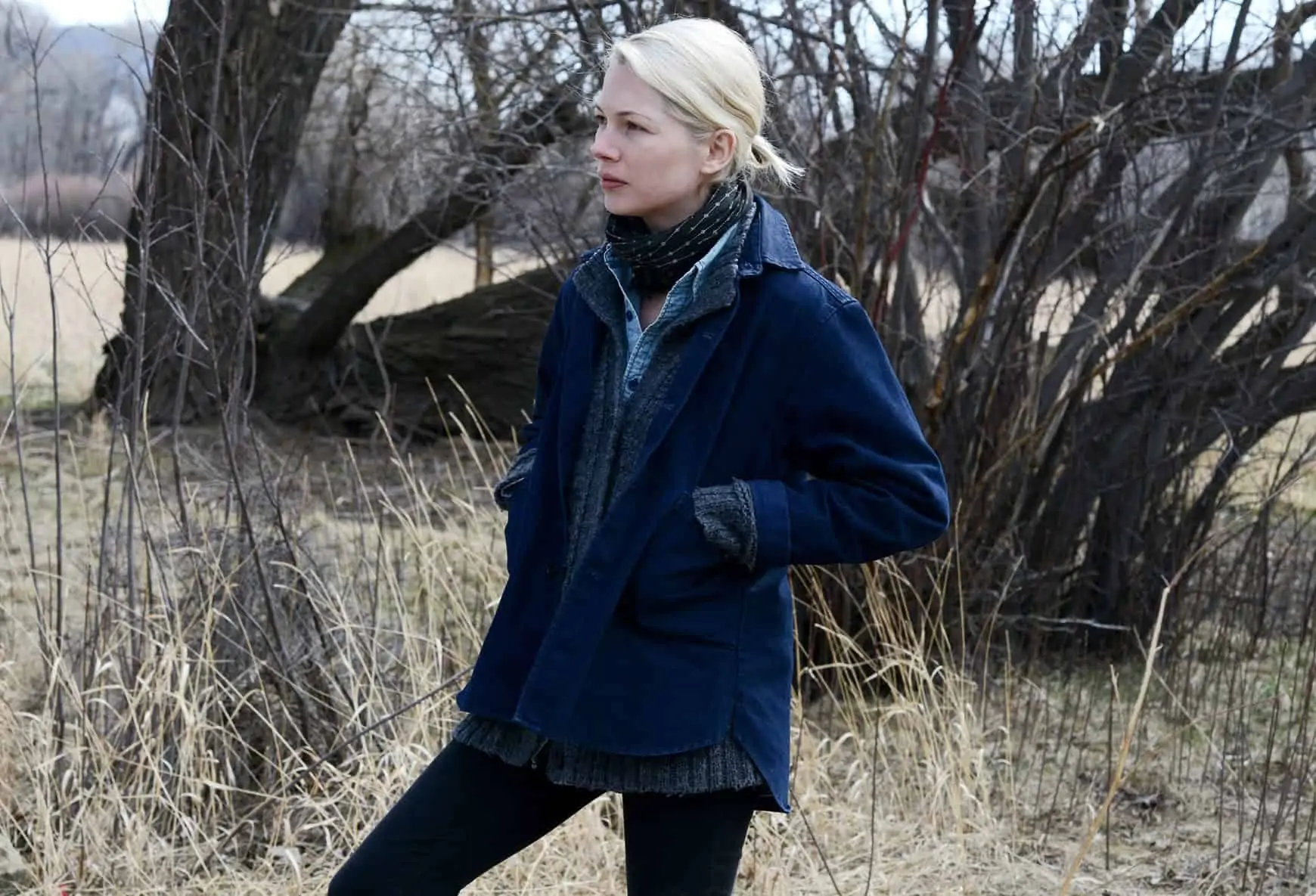 Gifted... Kelly Reichardt's Certain Women was shot on super 16mm and took full advantage of Kodak's support for 35mm exhibition prints