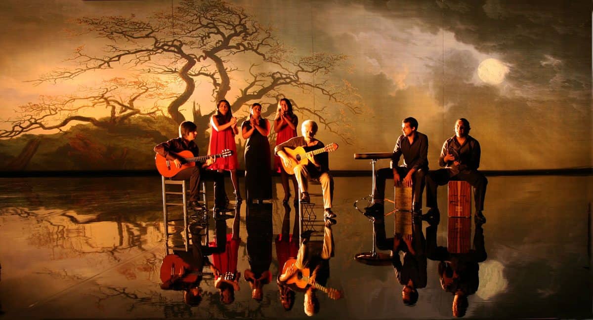 <em>Flamenco, Flamenco</em>, 2010