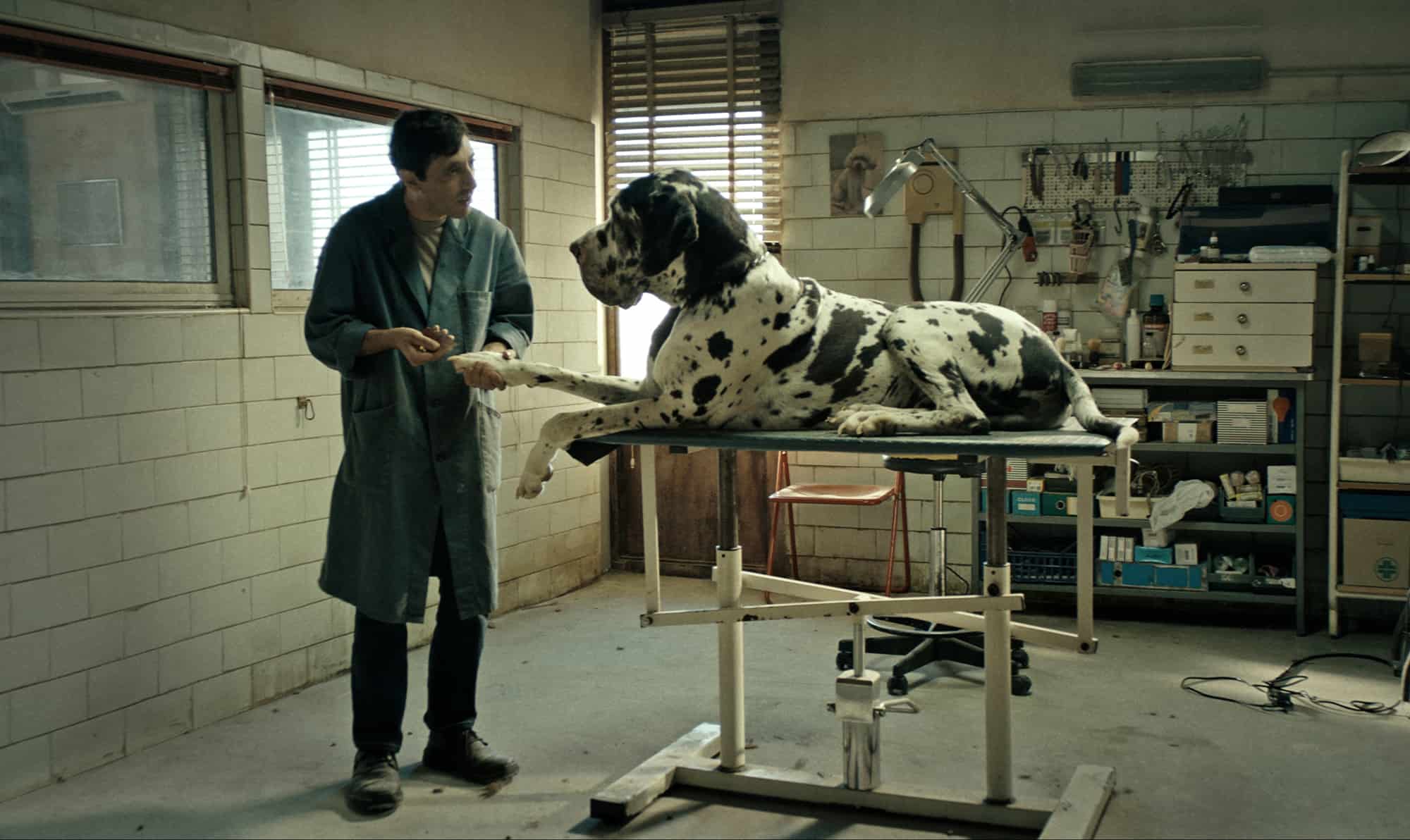 DOGMAN_Marcello Fonte_Untitled_1.2.1-2 (1)_Untitled_1.8.1 (1)