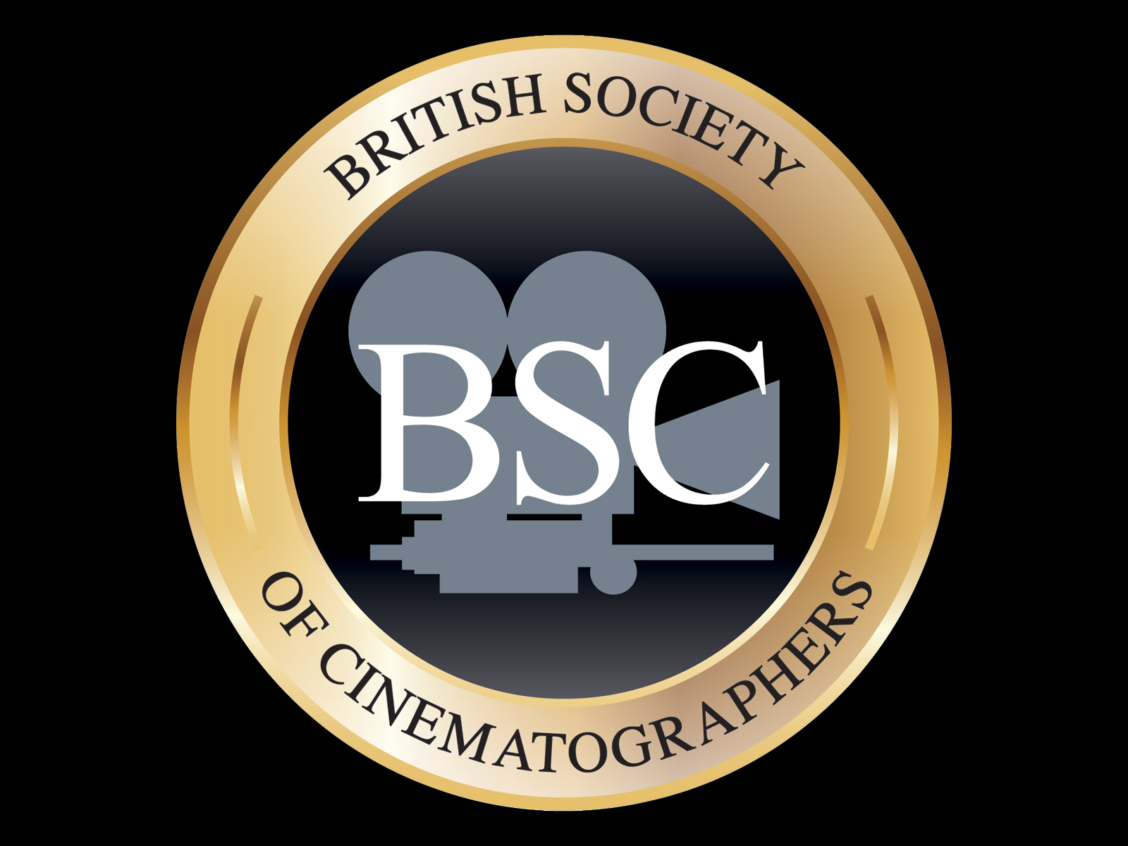 BSC logo. BSS logo. Associate 5