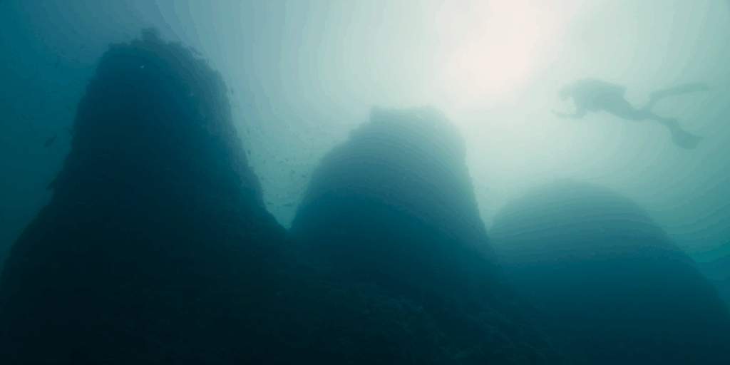 Someone diving