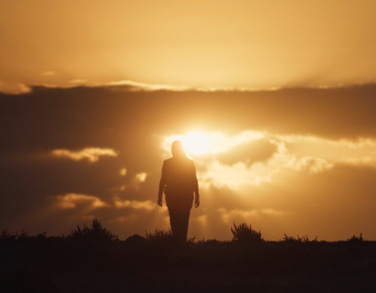 A silhouetted person against a sunny sky