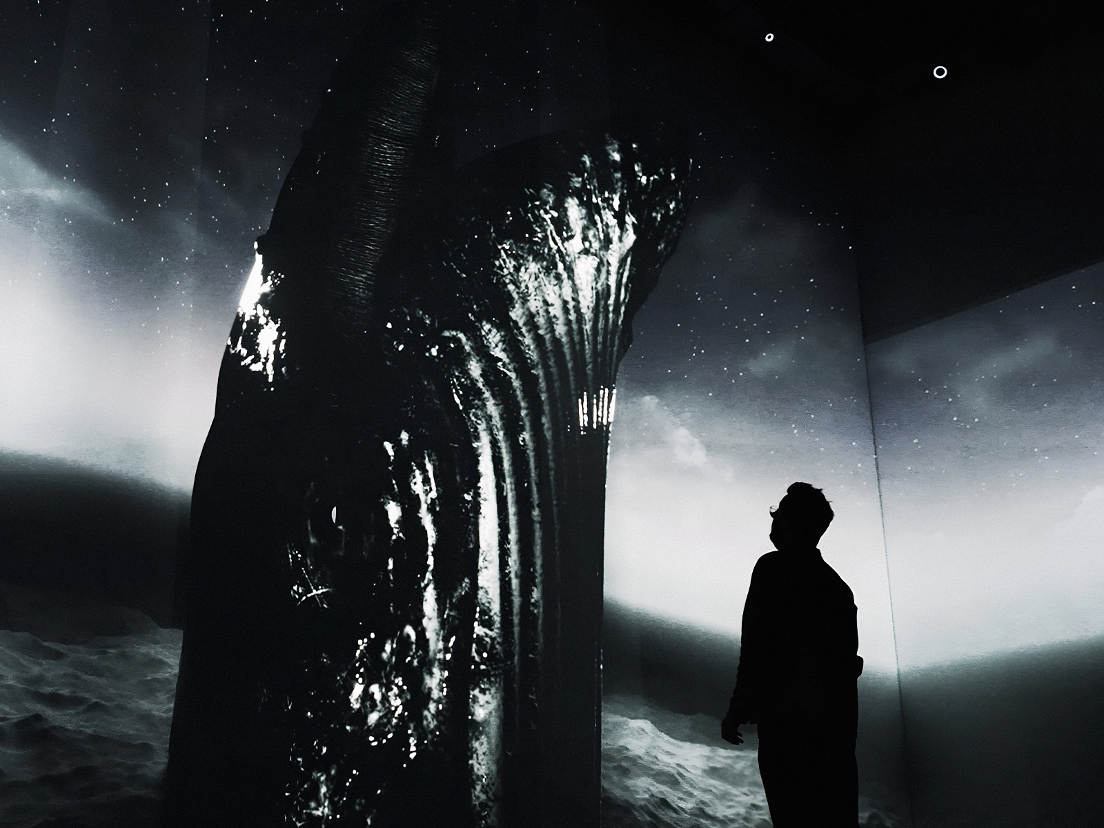 A person looking up at a whale