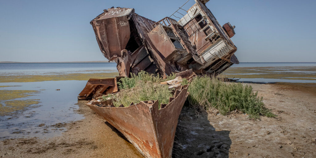 A large, rusted shipwreck sits stranded on dry, cracked ground near a body of water, with overgrown green plants emerging from its exposed, broken hull under a clear sky.