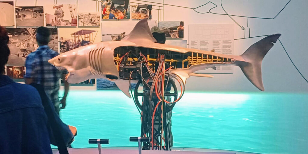 A robotic shark from a Jaws exhibit