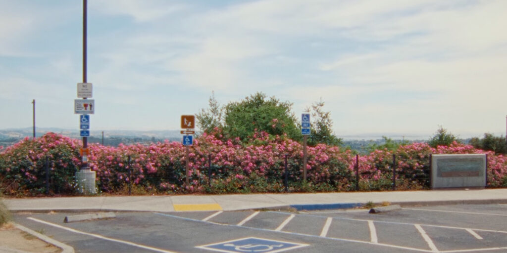 A car park in the sun