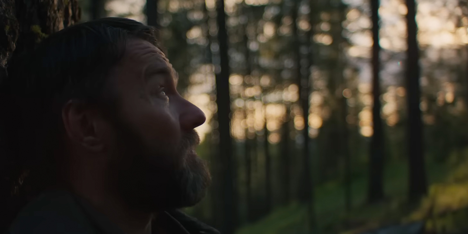 Joel Edgerton sat by a tree