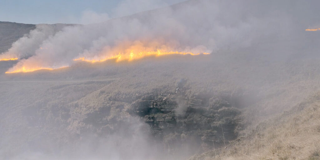 A wildfire in the woods