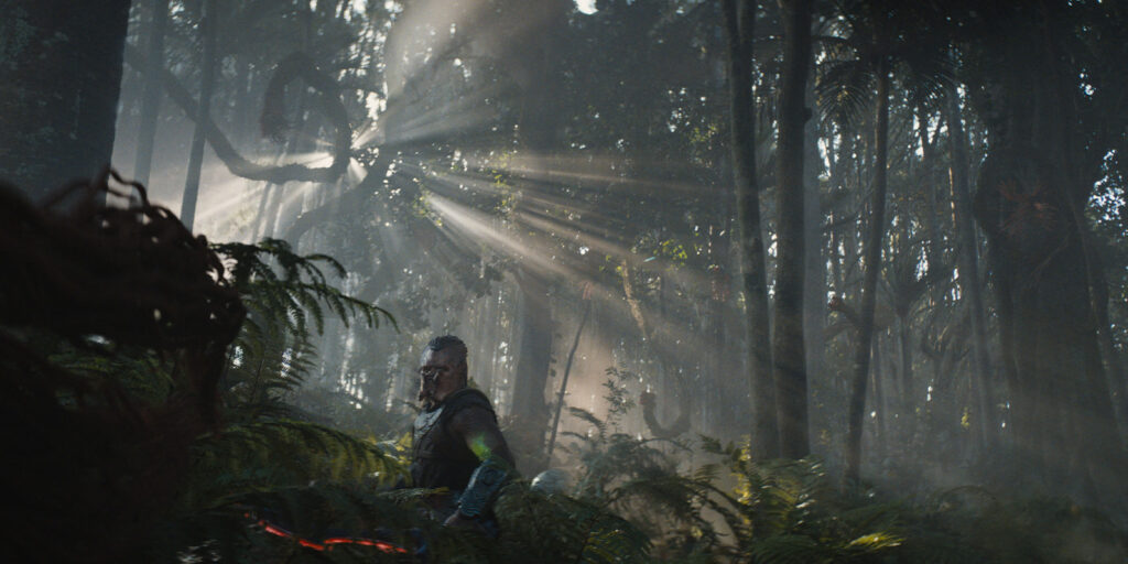 A person stands in a dense, sunlit forest with beams of light streaming through trees, evoking a scene from Predator: Badlands. Ferns and foliage surround the figure as shadows create a dappled effect reminiscent of Jeff Cutter’s cinematography.