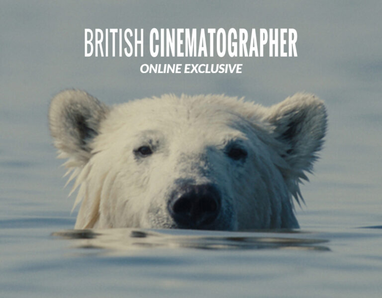 A polar bear in water
