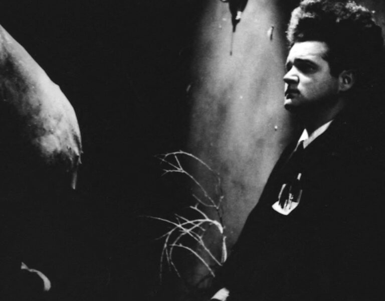 A man with tall, frizzy hair stands in partial shadow, facing sideways. He wears a dark suit and white shirt. The background is dimly lit, featuring bare branches and a large, indistinct shape on the left.