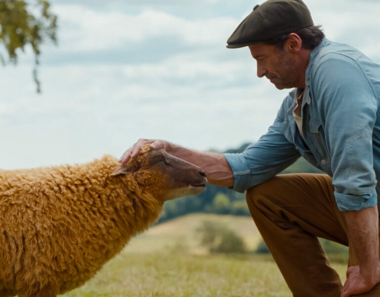 A man wearing a cap and blue shirt kneels on the grass, gently touching the head of a brown sheep in a rural outdoor setting with trees and rolling hills in the background.