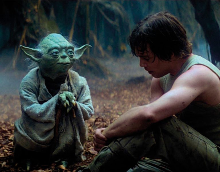 Luke Skywalker and Yoda sat in a forest