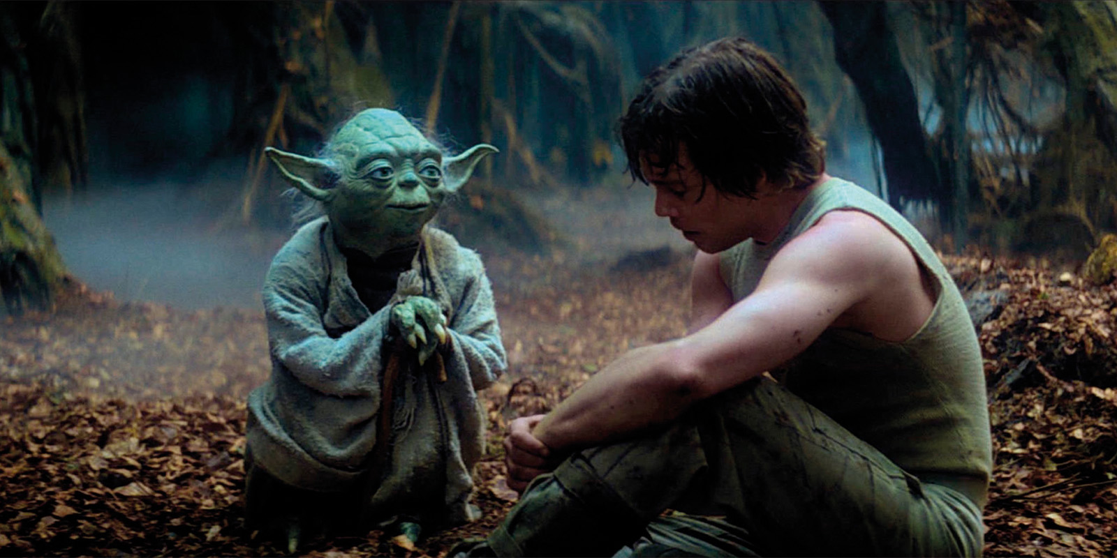 Luke Skywalker and Yoda sat in a forest