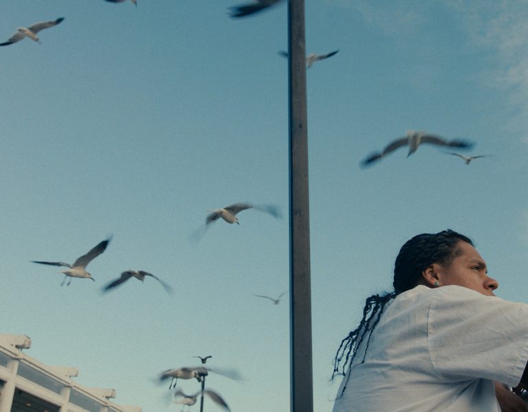 A person in a white shirt stands by a chain-link fence under a blue sky with scattered clouds as several birds fly overhead. The person is looking to the right with an arm resting on the fence.